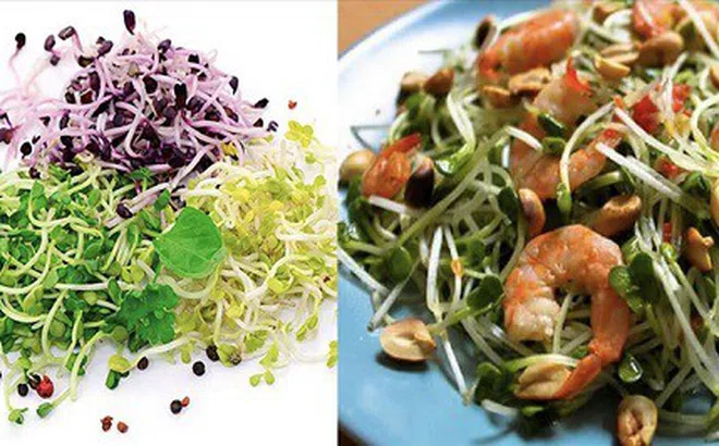 Những giá trị dinh dưỡng của rau mầm và lưu ý để không bị ngộ độc
