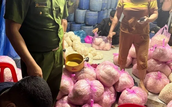 Hãi hùng lại thêm một cơ sở sản xuất dùng "nước kẹo" 6-Benzylaminopurine làm giá đỗ bị phát hiện