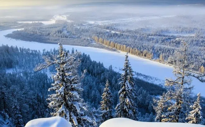 Cảnh báo nguy cơ "virus thây ma" hồi sinh sau 50.000 năm đóng băng