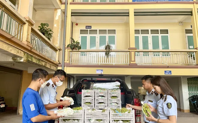 Thái Nguyên: Tiêu hủy hàng tấn hoa quả “ngoại” không xuất xứ