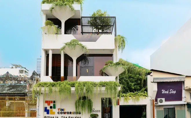 TINI COWORKING: Bản giao hưởng văn phòng xanh thế hệ mới