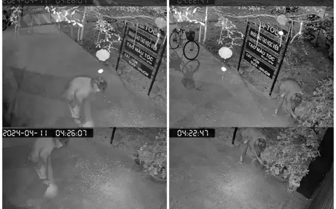 Camera ghi lại hành động đẹp của cụ ông 90 tuổi nhặt ve chai trả ơn chủ tiệm tóc