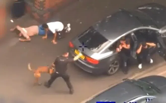 Clip: Khoảnh khắc cảnh sát và chó nghiệp vụ bắt nhóm tội phạm như phim hình sự