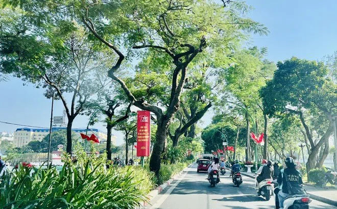 Tạo cơ chế mở để Hà Nội phát triển xanh bền vững, thân thiện với môi trường