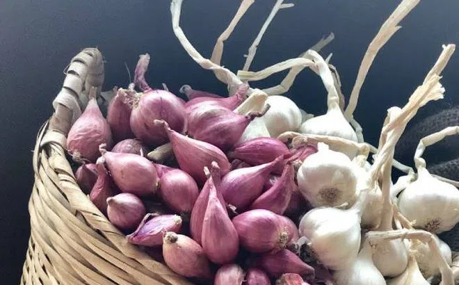 Hành tím, tỏi để lâu không mọc mầm: Chỉ cần làm đúng 3 điều này, để cả tháng vẫn tươi